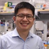 George Lu